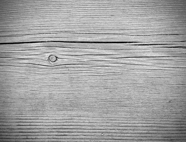 Close-up of wood grain